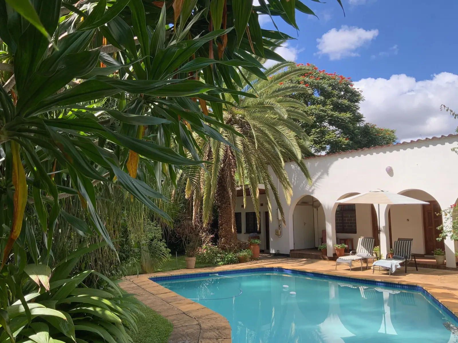 Swimming pool and tropical gardens at Wendel's Guest House, Lilongwe